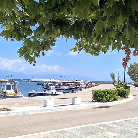 Galazia Nera * Agios Andreas (Messenia)